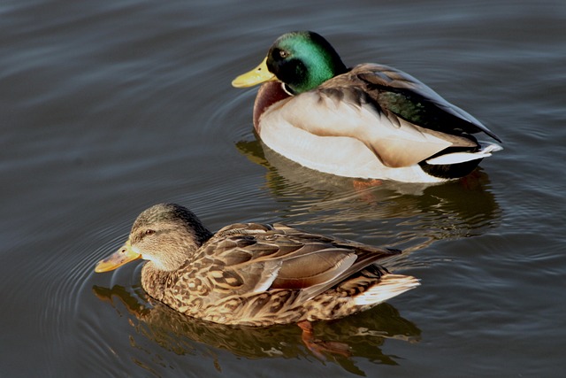 Forstå kryptiske krydsord – en guide til de særeste spor